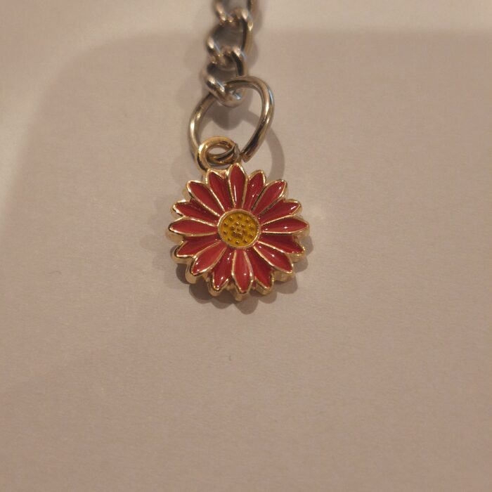 Red Pointed Daisy