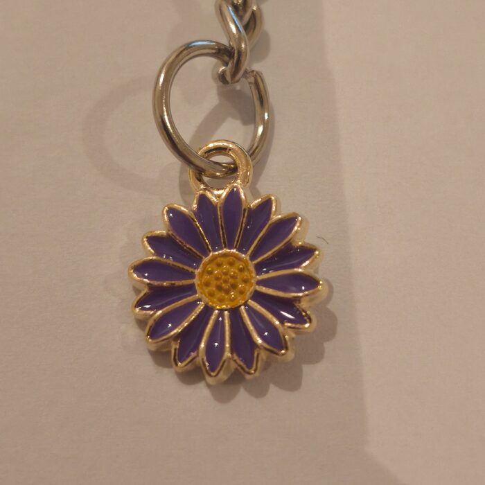 Purple Pointed Daisy